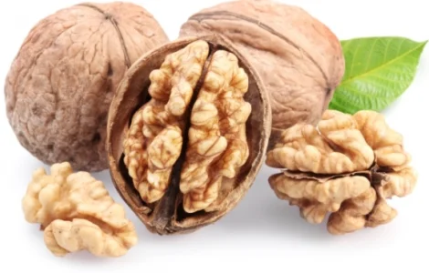 Куплю цілий волоський горіх та ядро горіха волоського