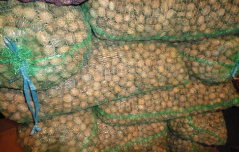 Продам грецький горіх 2024 р