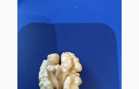 Куплю горіх