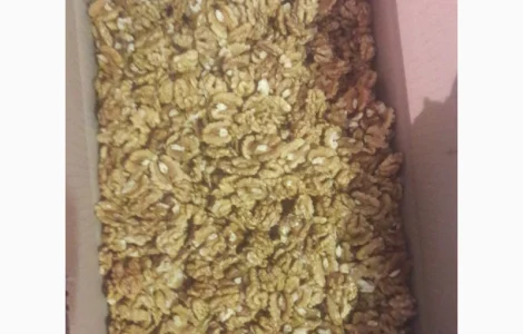 Куплю горіх кругляк