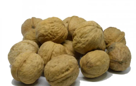 Продам горіхи