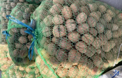 Продам горіх гарної якості 3 т