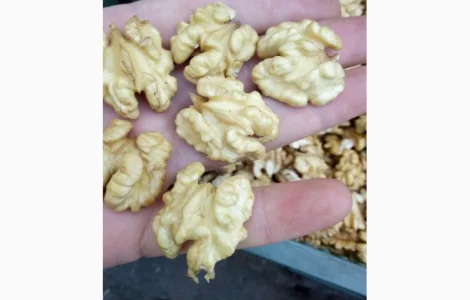 Куплю молочную бабочку и четверть, светлую и янтарную