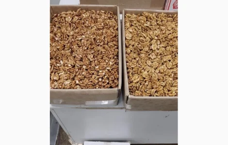 Куплю ядро грецкого ореха.Бабочку, четверть, янтарь