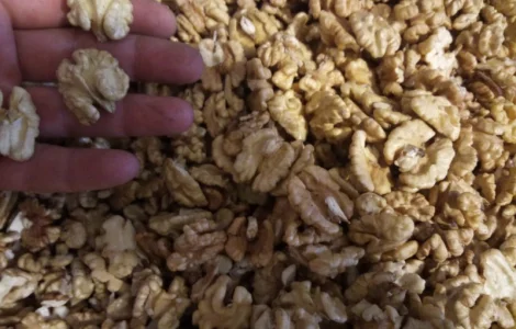 Закупаеи четверть, микс, бабочку в любом количестве