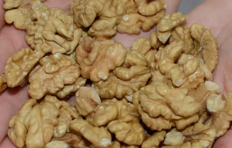 Куплю ядро- бабочку четверть янтарь