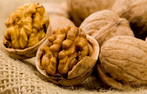 Купуємо від 500 кг волоський горіх