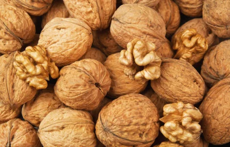 Куплю чищений горіх та квасолю цукрову