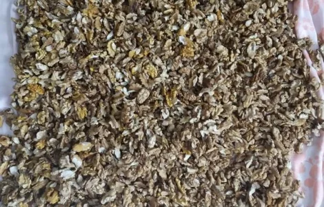 Купую чищений сухий грецький горіх