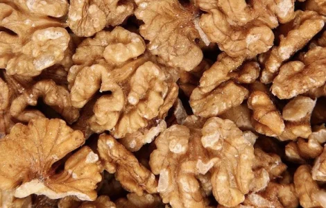 Закупаю ядро грецкого ореха всех фракций