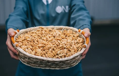 Експортуємо ядро волоського горіха