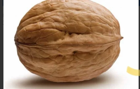 Продам горіхи кругляк гарної якості