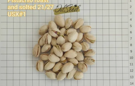 Фисташка жареная соленая - 9, 40 $/kg, USA, US Extra No. 1, 21/27, опт