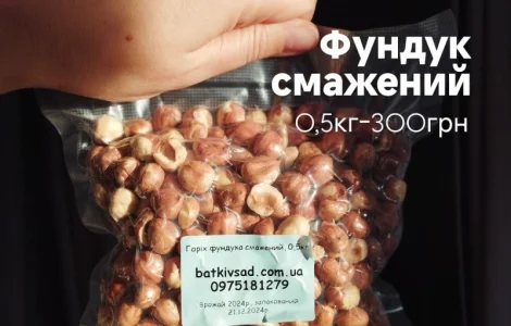 Фундук смажений, врожай 2024р