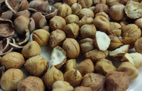 Фундук сушений