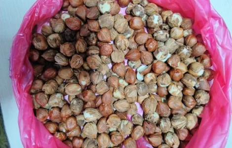 Продам фундук очищенный
