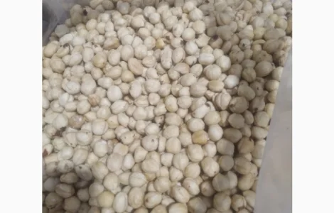 Фундук бланшированный жареный Грузия 13-15