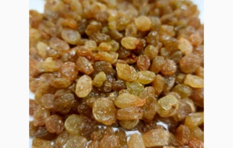 Изюм иранский