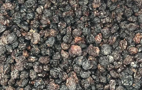 Ізюм Чилі джамбо оптом