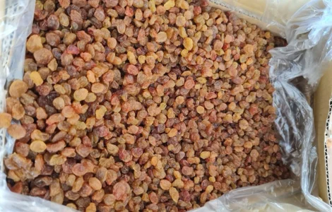 Продам изюм Малаяр Иран