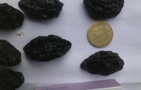 Чернослив вяленный с косточкой