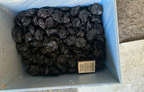 Пропонується чорнослив без кісточки