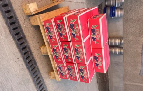 Продам чорнослив