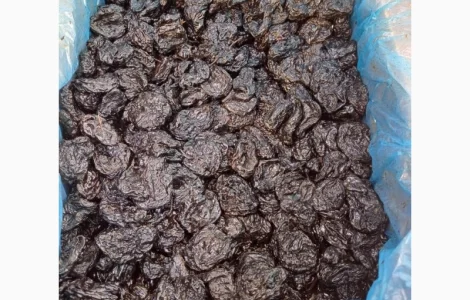 Продам ОПТ (від 3х тонн) Чернослив сорт Стенлей (Молдова)