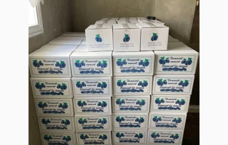 Продам чернослив