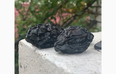 Продам чорнослив без диму натуральний