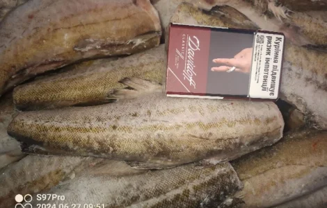 Продам минтай Америка