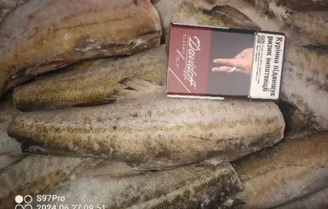 Продам минтай Америка