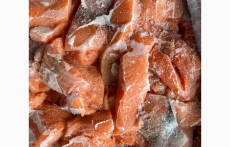 Кусок лосося