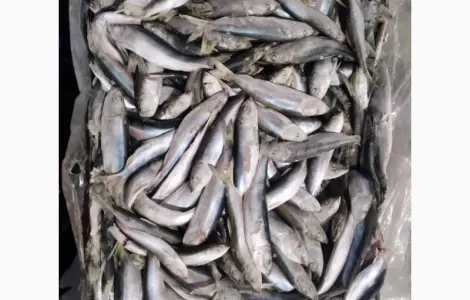 Продам салаку