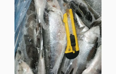 Продам Сельдь 350