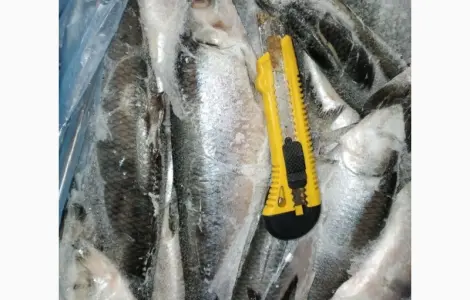 Продам Сельдь 350
