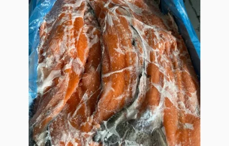 Хребет лосося