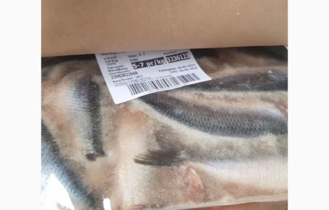 Продам Сельдь матиас б/г 4-5шт/кг Норвегия