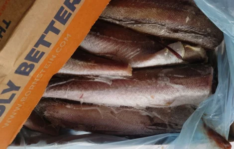 Хек 300-500 Bornstein