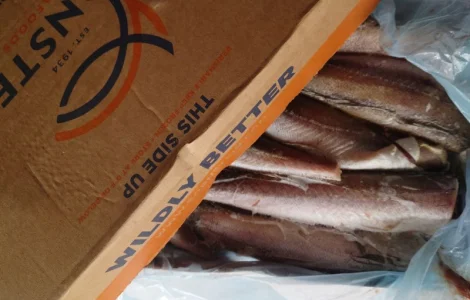 Хек Борнштейн 300-500