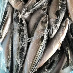 Продам рыбу свежемороженую/ Продам рибу свіжоморожену