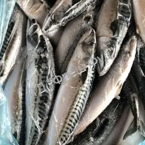 Продам рыбу свежемороженую