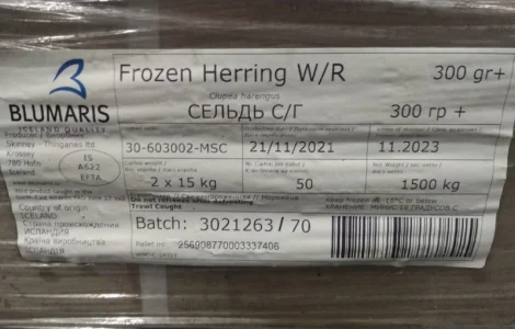 Оселедець 300+ Ісландія