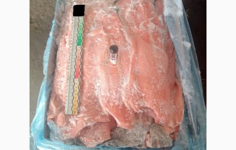 Хребти лосося