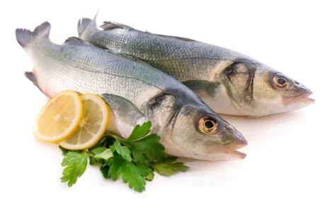 Сибас охлажденный