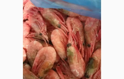 Рыба свежемороженная