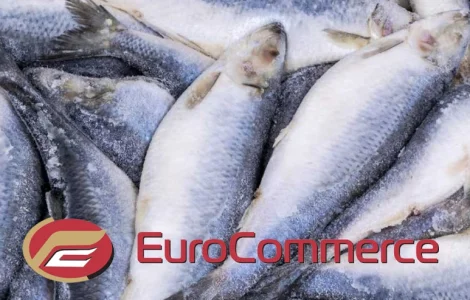 Лосось, Мойва, Оселедець, Риба Аргентина, Скумбрія, Хек. Оптом. Власний імпотрт