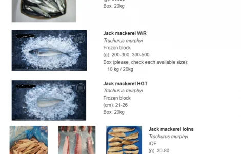 Продаємо оптом Скумбрія Хек Кальма морозива