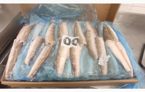 Продаем Хек мороженный тушка филе