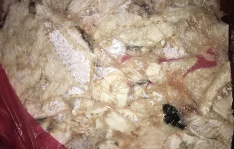 Обрезь сайды свежемороженые. Сайда обрезь